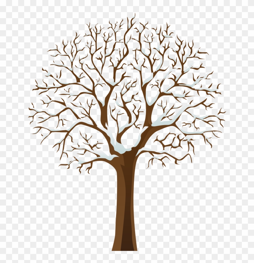 Pin Tree Clipart - Tree With No Leaves #28853