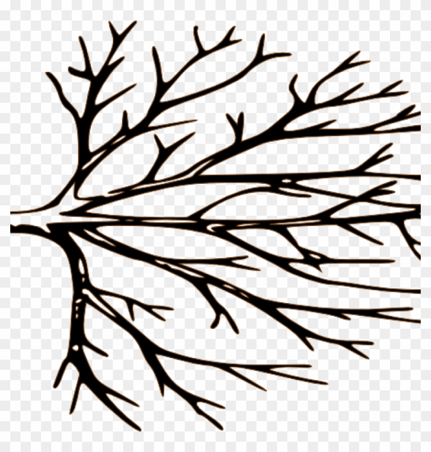 Bare Tree Clipart Black And White Bare Tree Clipart - Free Tree Clipart Black And White #28855