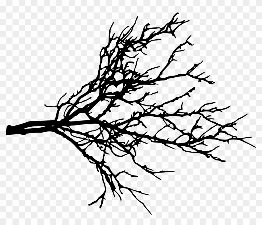 Free Download - Tree Branch Silhouette Png #28909