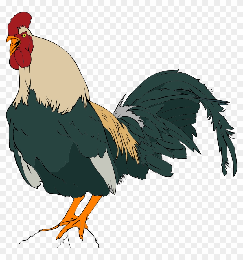 Open - Rooster Clip Art #28972