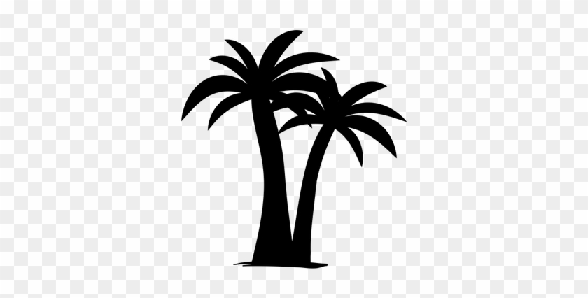 Medjool - Palm Trees #28988