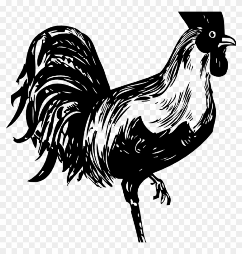 Rooster Clipart Black And White Rooster Clip Art At - Circle Swirl Clipart #29009