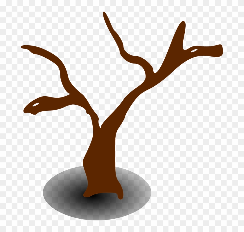 Tree, Dead, Dry, Lifeless, Drought - Tree Clip Art #29041