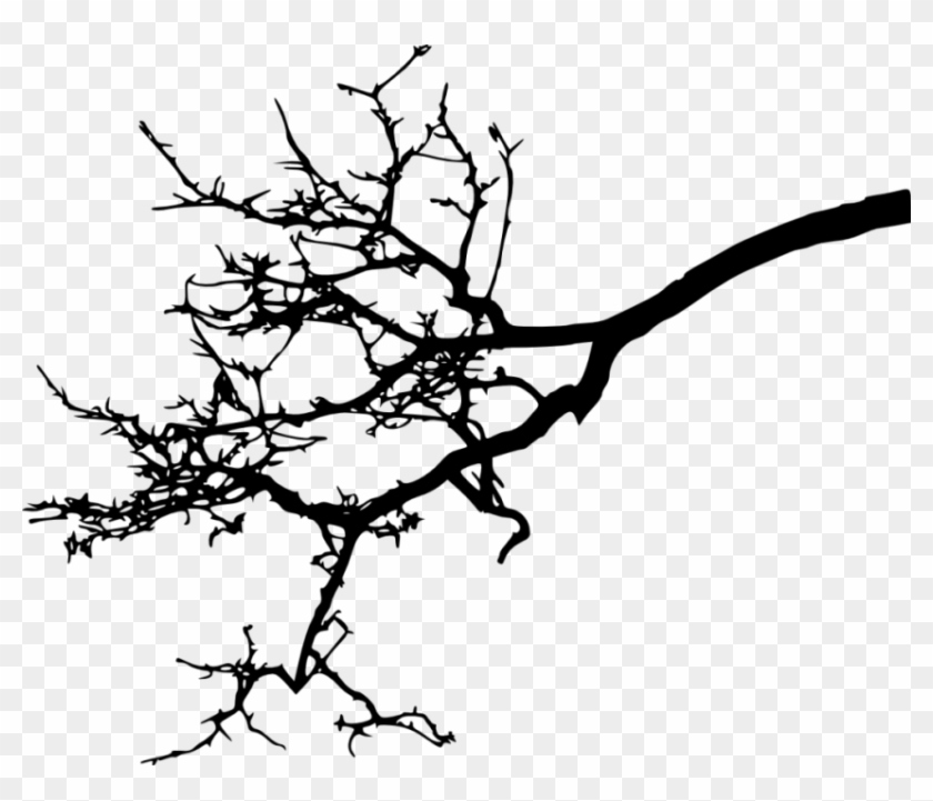 Free Png Tree Branch Silhouette Png Images Transparent - Transparent Bird In Tree Silhouette #29044