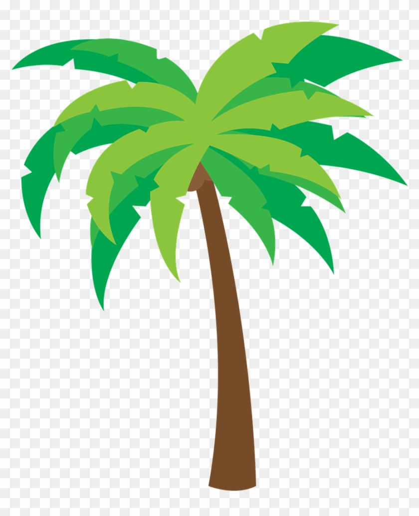 Arecaceae Clip Art - Arecaceae Clip Art #29135