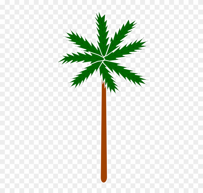 Palm Plant Stylised Tree - Clip Art #29140