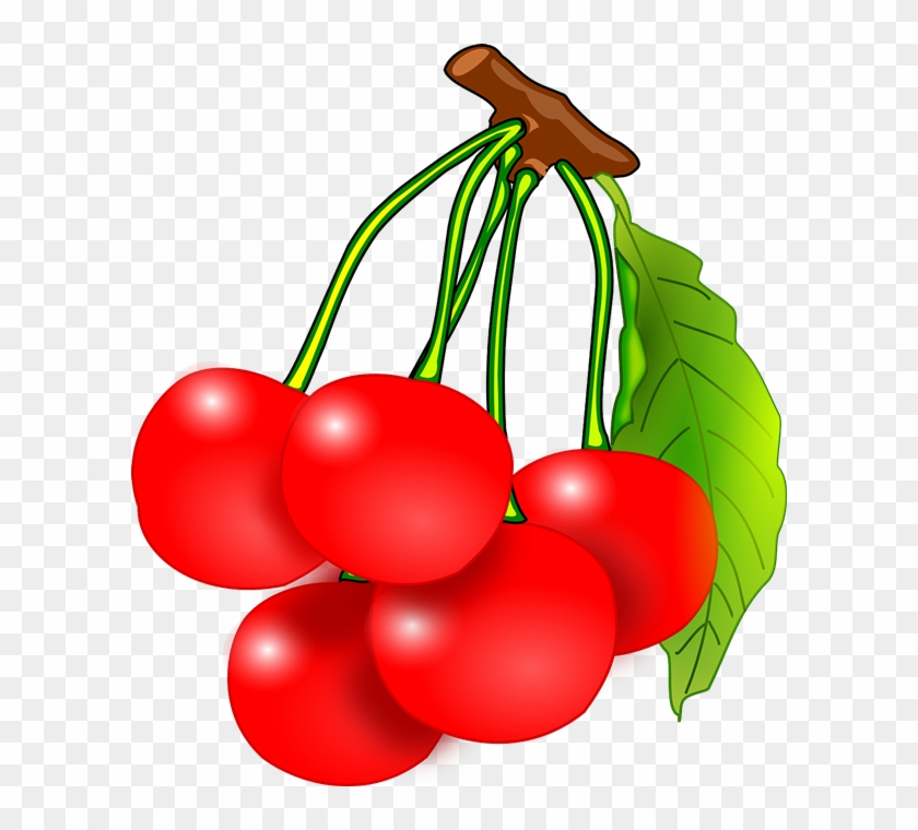 Cherry Clipart Fruite - Cherry Clipart #29421