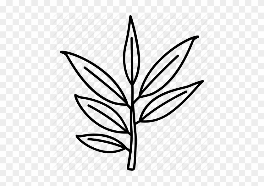 Bush, Eucalyptus, Gum, Leaf, Tree, Willow Icon Icon - Imagenes De Eucalipto Para Dibujar #29464