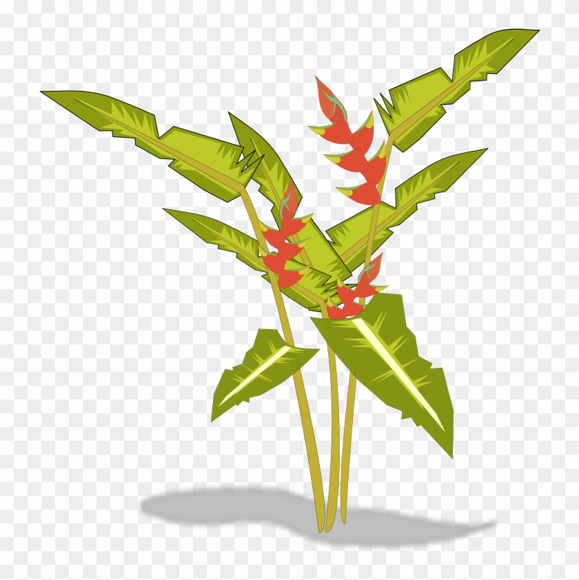 Tree-12b Free Heliconia - Tropical Plant Clip Art #29485