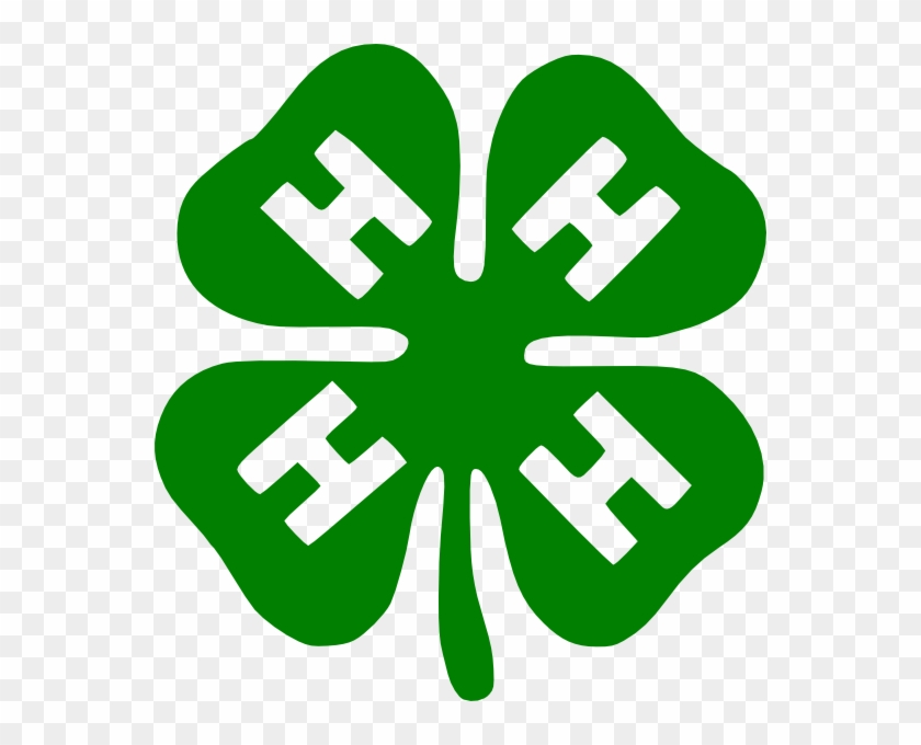 Free Vector Shamrock Clip Art - 4 H Logo Png #29531