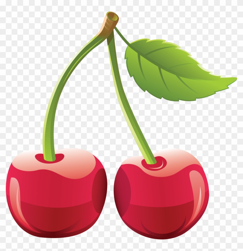 Cherries - Fruit Vector #29649