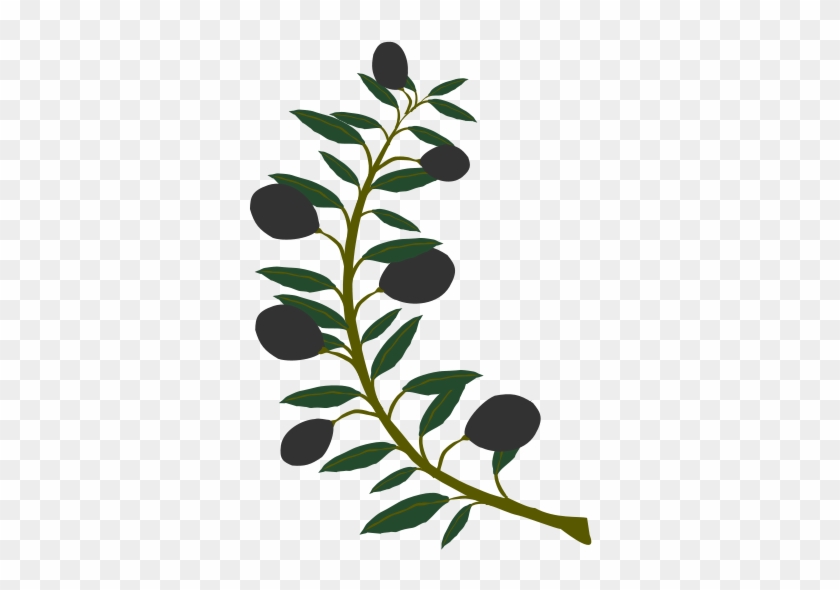 Free Olive Branch Black Olive - Olive Tree Branch Clipart #29707