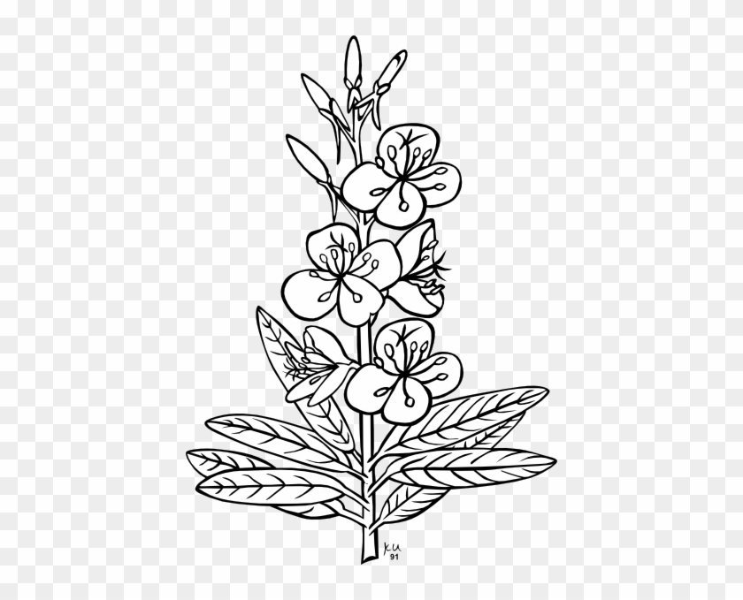 White Flower Clipart Flower Tree - Outline Pictures Of Flowers #29770