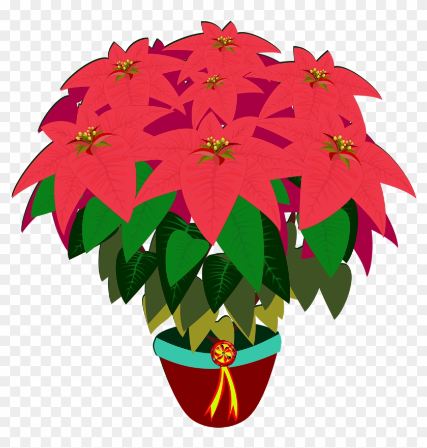 Bico De Papagaio, Clip Art, Flor, Flora - Poinsettia #29798