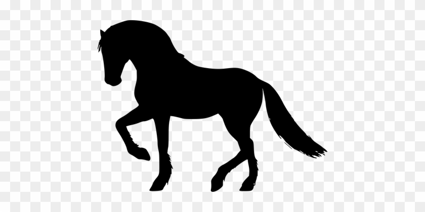 Silhouette, Horse, Gallop, Equestrian - Horse #29852