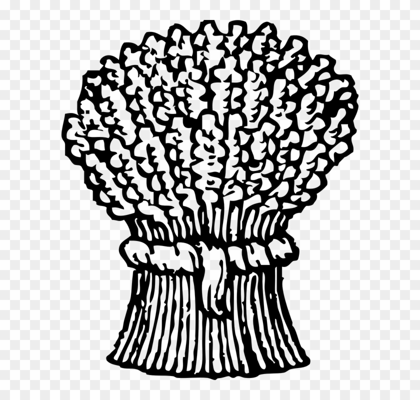 Harvest Clipart Black And White 8 - Were The Middle Colonies Known #29919