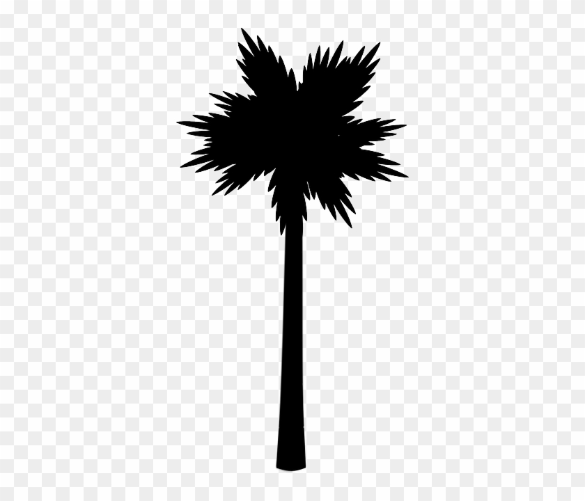 Palm Tree Clip Art #30060