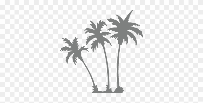 Palm Trees Background Overlay #30120