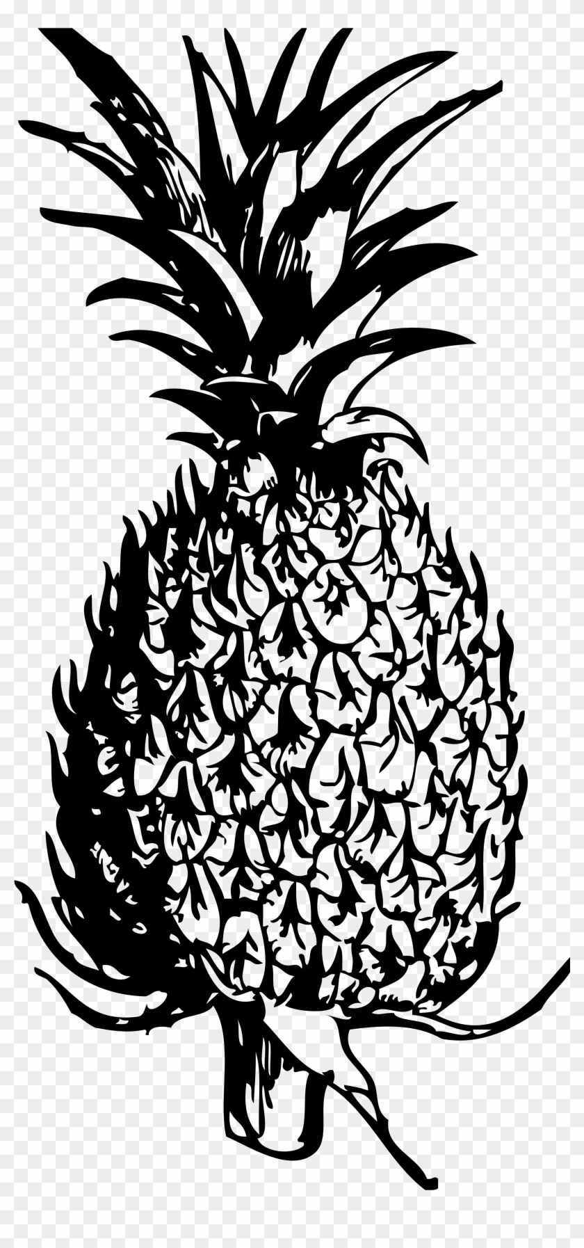 Free Pineapple Black And White Clipart Free Clip Art - Paineapple Clipart Black And White #30144