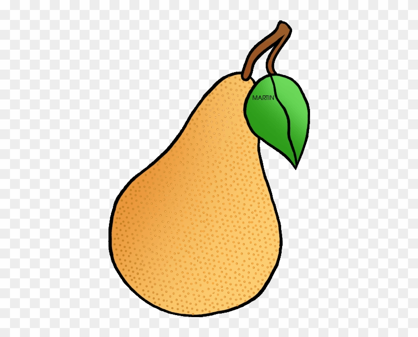 State Fruit Of Oregon - Oregon Pear #30267