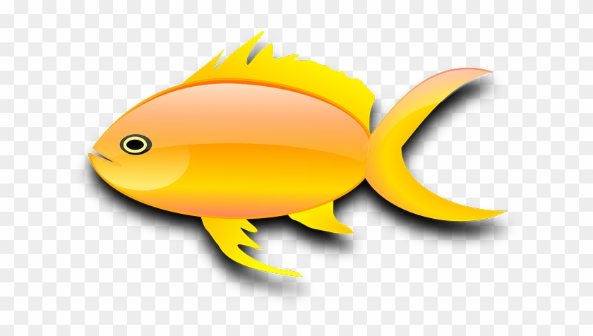 Goldfish Gold Fish Clip Art Black And White Free Clipart - Gold Fish Clip Art #30375