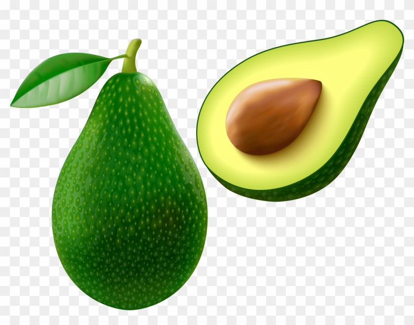 Avocado Clipart - Avocado Clipart #30411