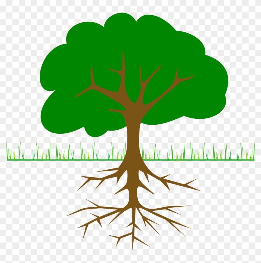 Roots Clipart Transparent - Tree Clip Art #30425