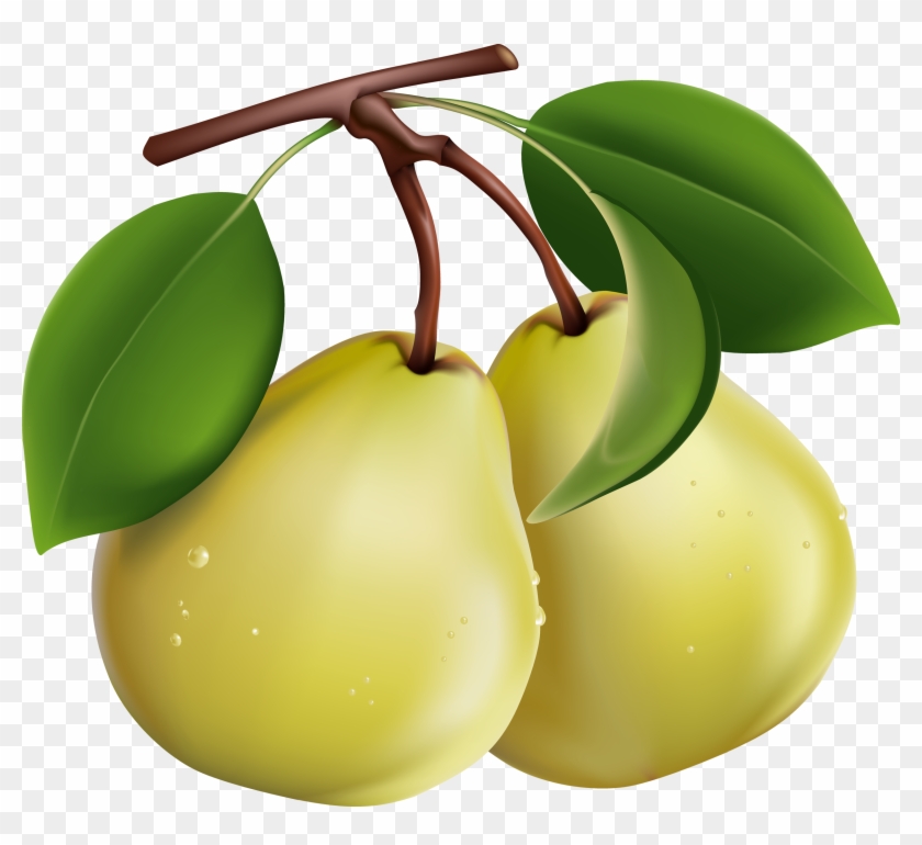 Google Search - Pear Fruit Clip Art #30440