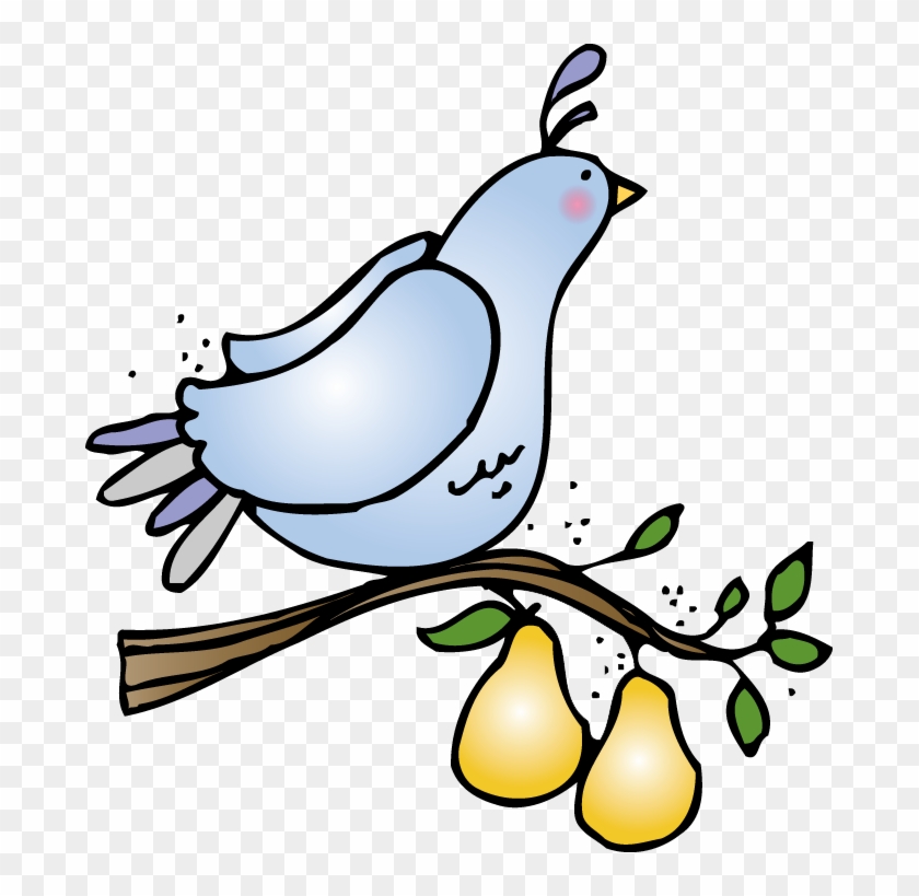 Partridge In A Pear Tree Clip Art - Partridge In A Pear Tree Clipart #30451