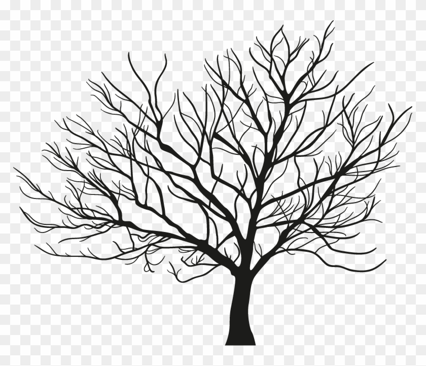 Branch Clipart Png Image 05 - Bäume Zeichnen #30473