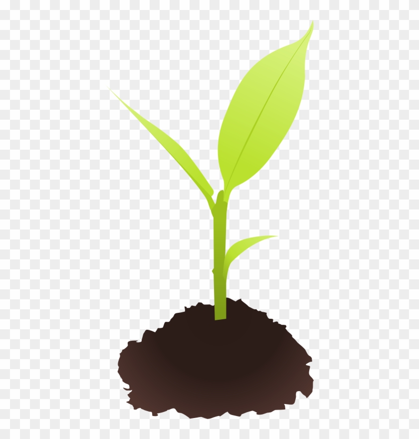 Free To Use &, Public Domain Plants Clip Art - Plant Clip Art Png #30483