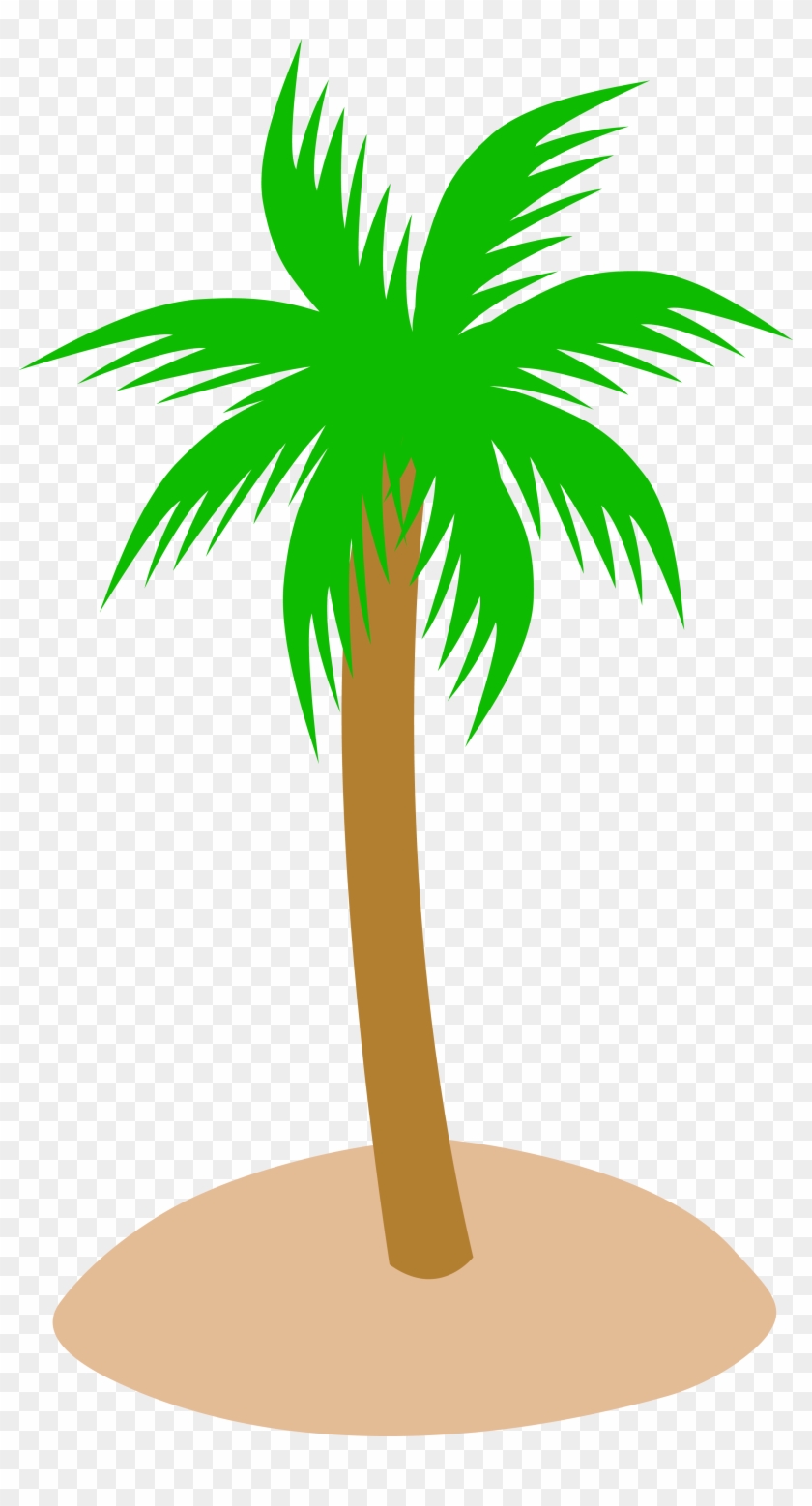 Cartoon Palmtree - Palm Tree On Sand #30664