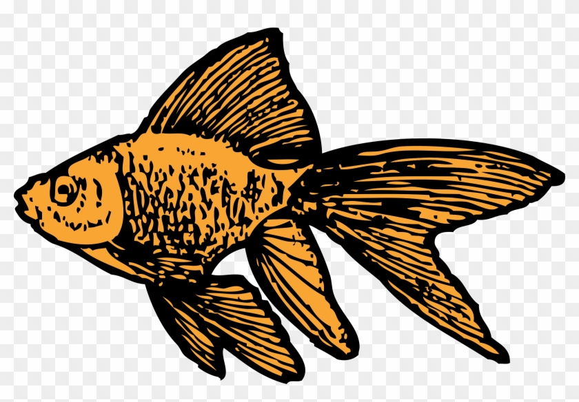 Gold Fish Clip Art Black And White - Goldfish Clip Art #30657