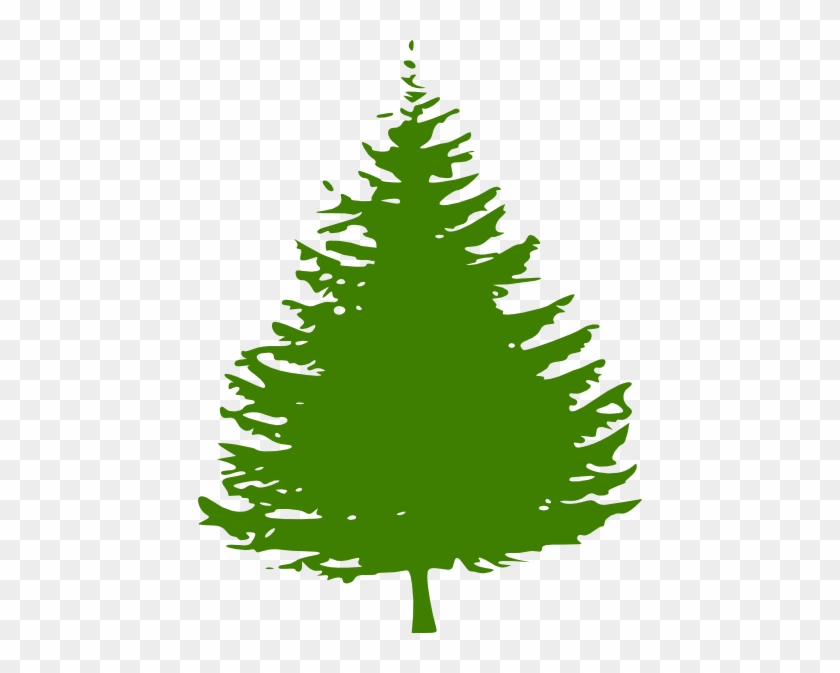 Pine Tree Clip Art At - Redwood Tree Clip Art #30695