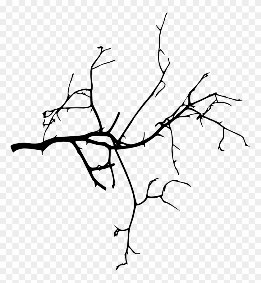 Tree Branches Silhouette - Branches Png #30903
