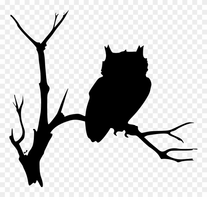 Owl Silhouettes Black Tree Branches Sitting Bird - Ad Maiorem Dei Gloriam #30912