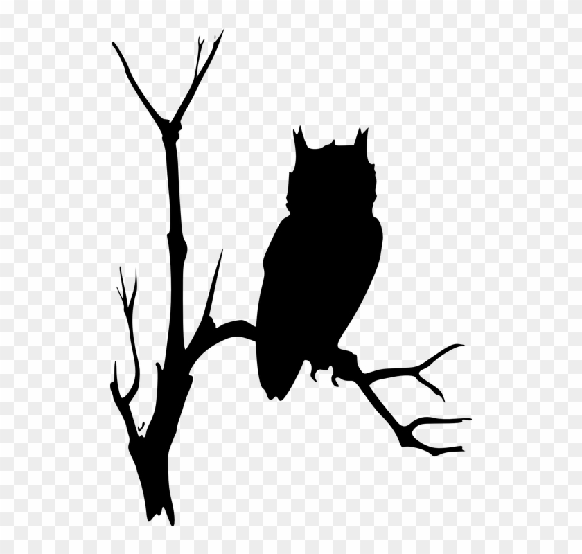 Owl Branches Tree Dead Eerie Watching Nature - Owl On Branch Silhouette #30954