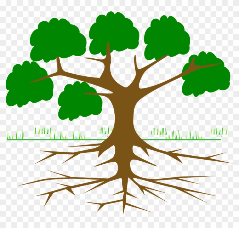 Tree Branches Root Eco Ecology Nature Plant - Environmental Movements In India #31025