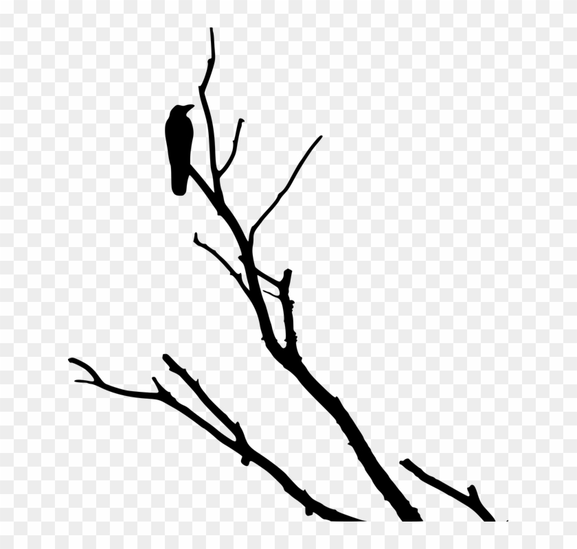 Crow Raven Silhouette Tree - Dead Tree Branch Clip Art #31081