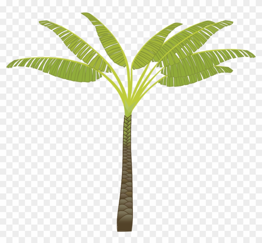 Palm Tree Png Images, Download Free Pictures - T Shaped Palm Tree #31265