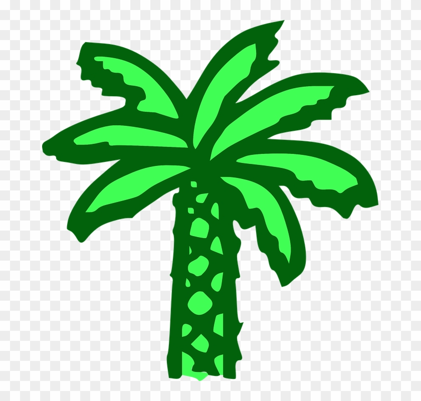 Palm Tree, Green, Beach, Banana Tree - Cartoon Palm Tree #31309