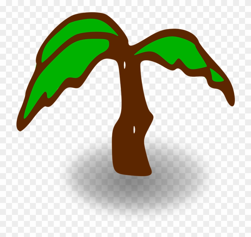 Palm Tree Green Brown Leaves Beach Tropical - Palm Tree Clip Art #31324