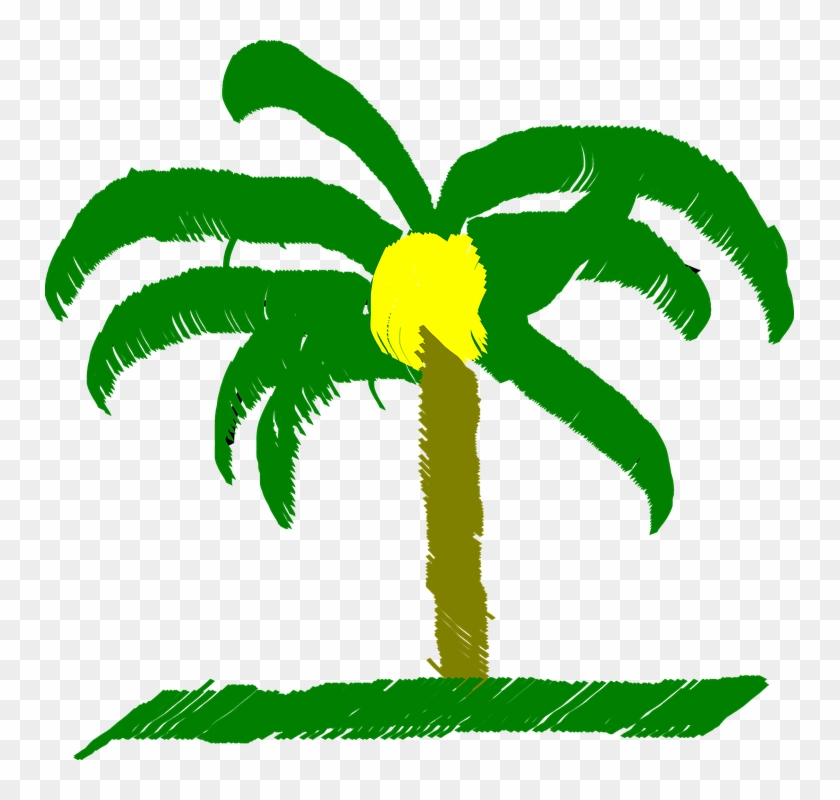 Palm Tree Palm Tree Beach Caribbean Tropical - Palma De Cera De Colombia #31334