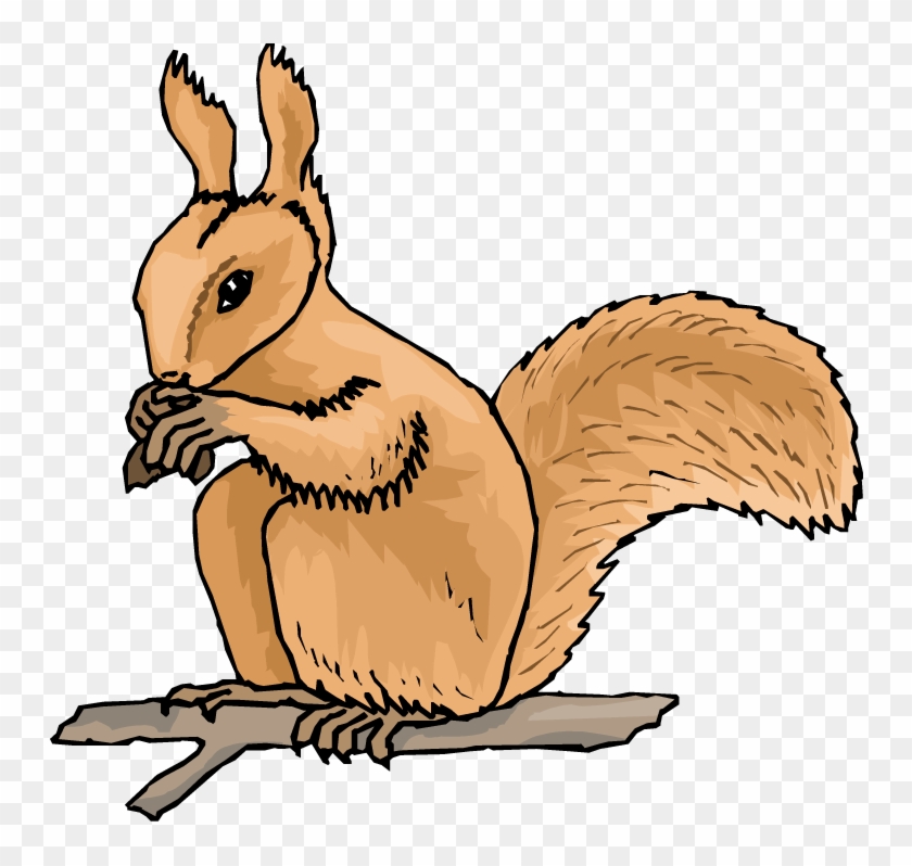 Animated Squirrel Clipart Free Squirrel Clipart Clipart - Squirrel Animated Clip Art #31363