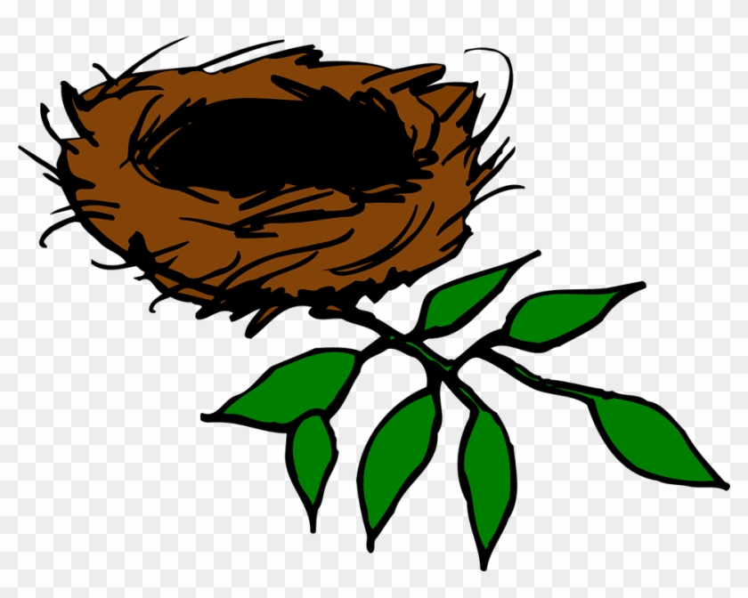 Bird Nest Nest Aerie Birds Leaves Branch Limb - Nest In Tree Clipart #31789