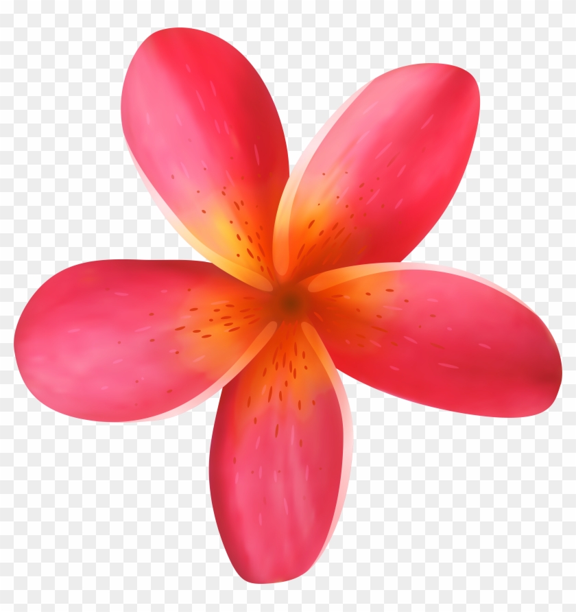 Tropical Flower Clipart, Explore Pictures - Tropical Flower Clipart, Explore Pictures #31856