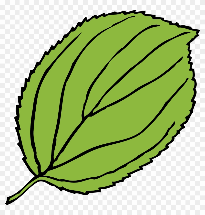 Green, Apple, Outline, Leaf, Tree, Cartoon, Free, Plant - Leaf Clip Art #31912