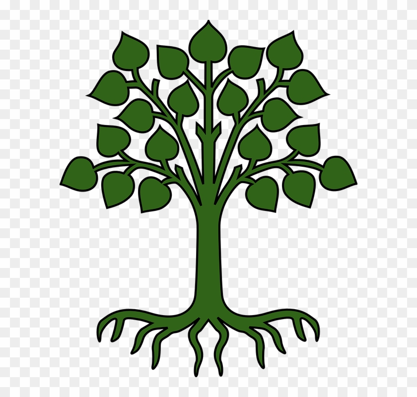 Tree Leaves Roots Green Pictogram - Cartoon Tree With Roots #31927