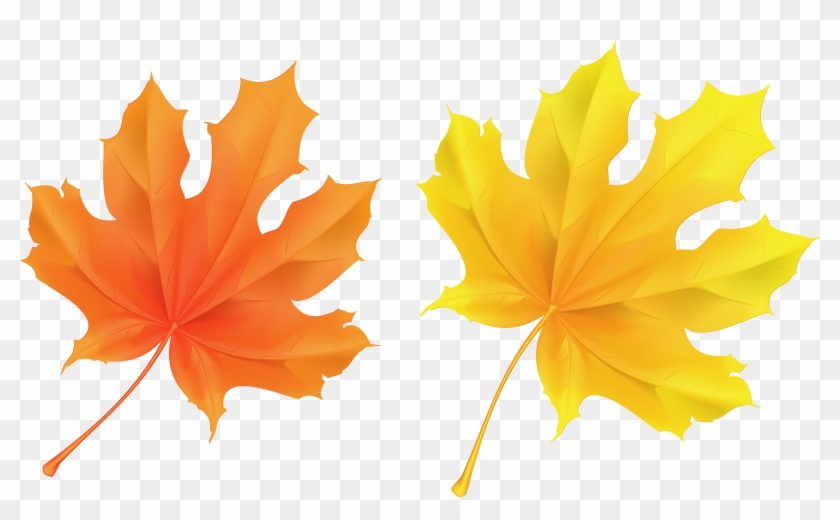 Fall Leaf Clipart No Background - Yellow And Orange Leaves #31945