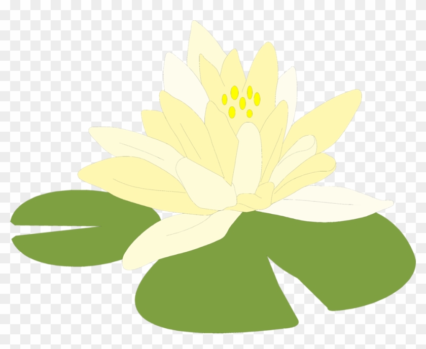 Lily Pads Free Stock Photo Illustration Of A Flower - Lily Pad Clipart Transparent #31942